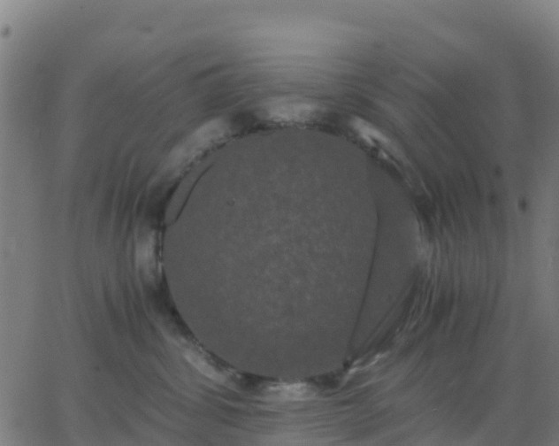 X0000062830428200601201617