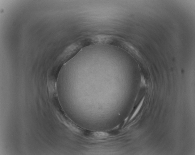 X0000062830429200601201617