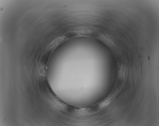 X0000062830430200601201617