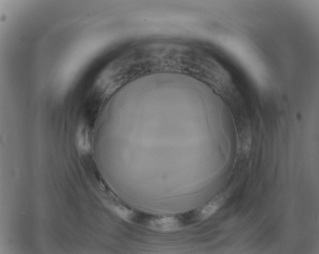 X0000062830431200601201617