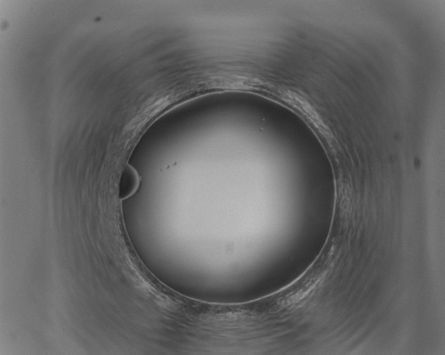 X0000062830433200601201616