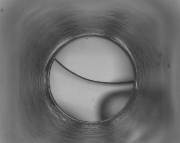 X0000062830435200601201616