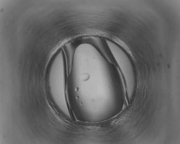 X0000062830436200601201617