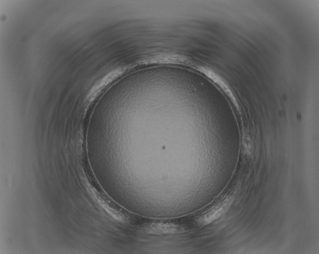 X0000062830437200601201617