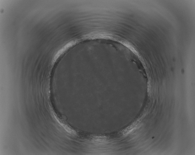 X0000062830438200601201617