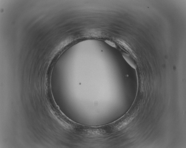 X0000062830439200601201617