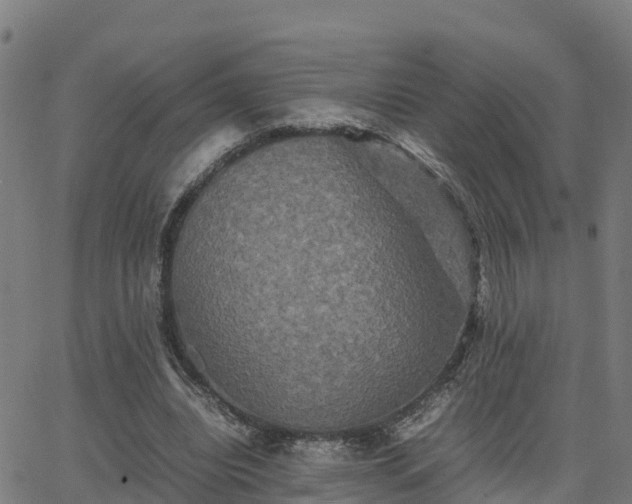 X0000062830440200601201617