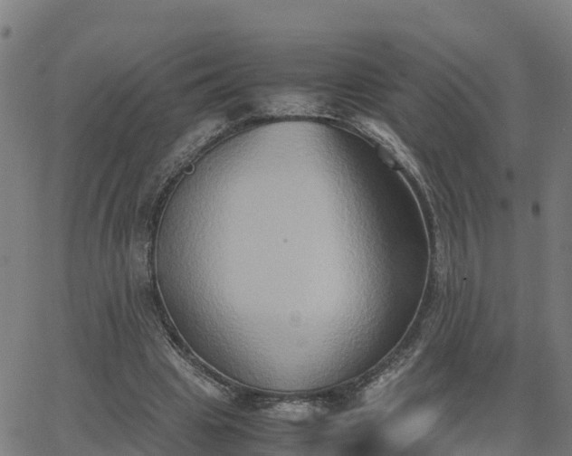 X0000062830441200601201617