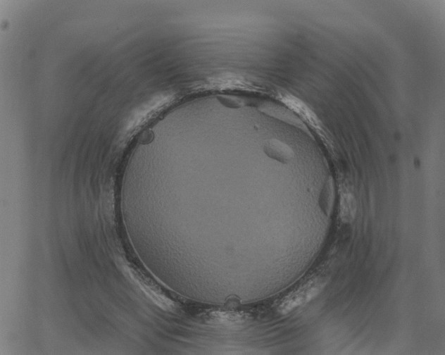 X0000062830442200601201617