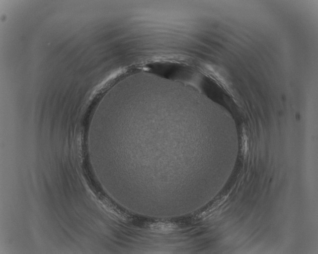 X0000062830444200601201617