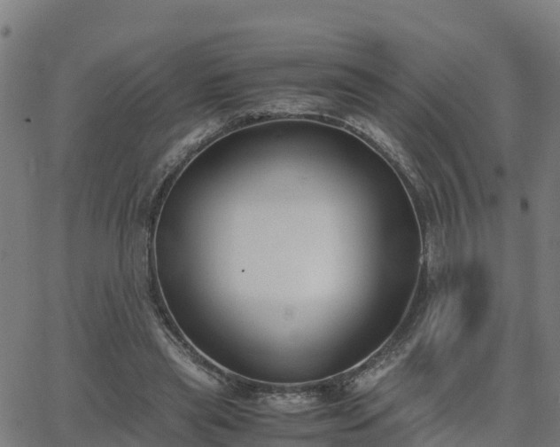 X0000062830445200601201617