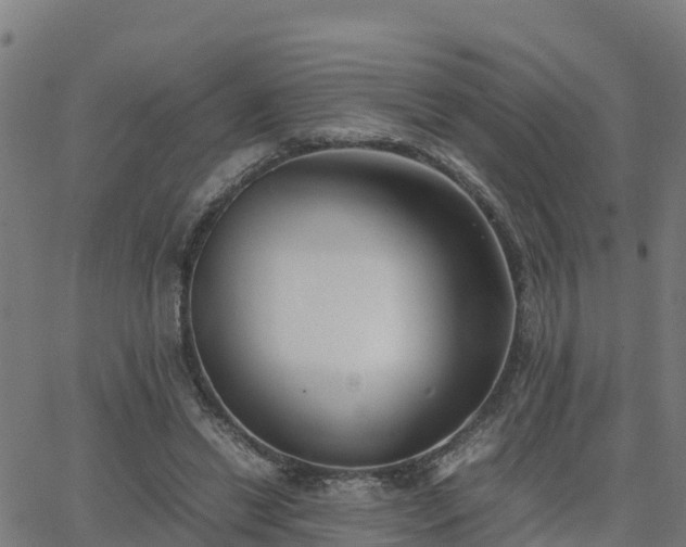 X0000062830446200601201617