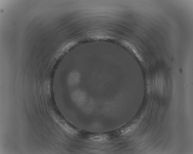 X0000062830447200601201617