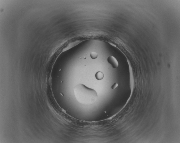 X0000062830448200601201617