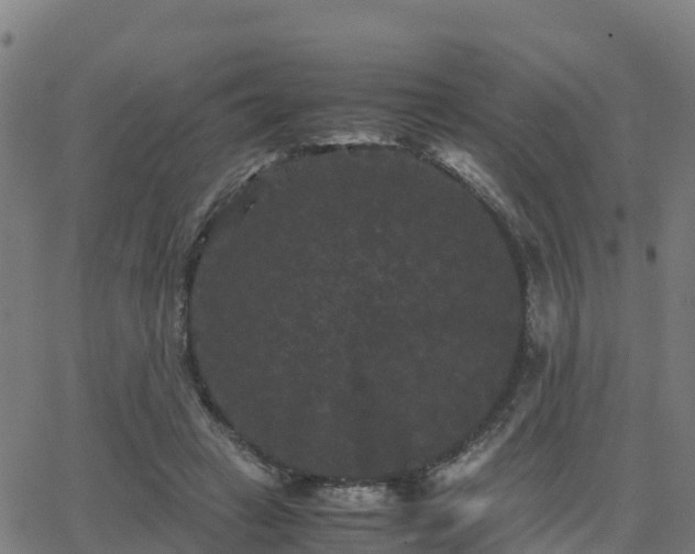 X0000062830449200601201617