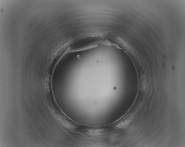 X0000062830450200601201617