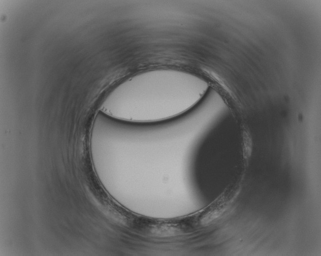 X0000062830451200601201617