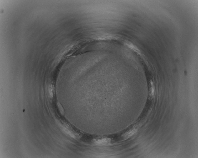 X0000062830452200601201617