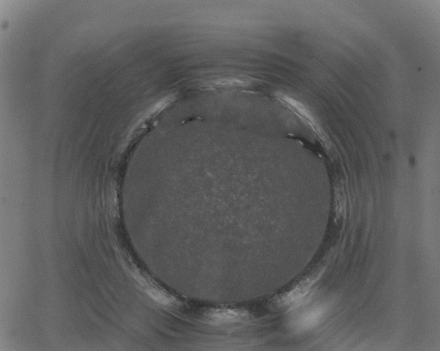 X0000062830453200601201617