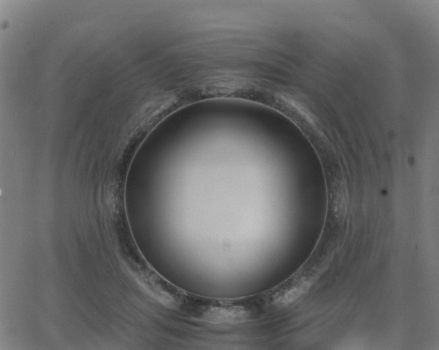 X0000062830455200601201617