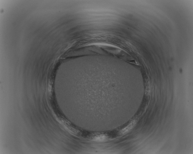 X0000062830456200601201617