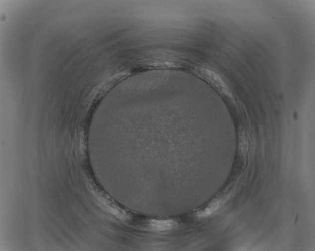 X0000062830457200601201617