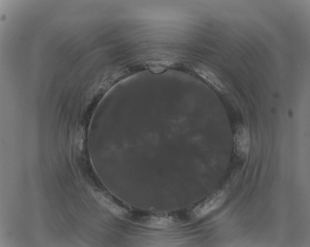 X0000062830458200601201617