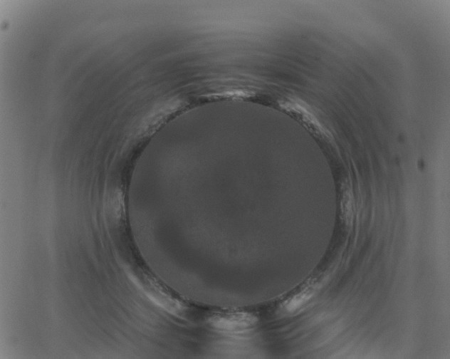 X0000062830459200601201617