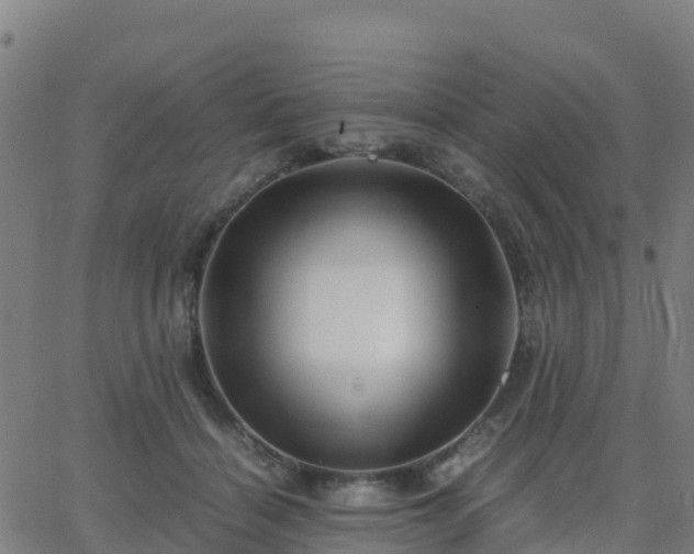 X0000062830460200601201617