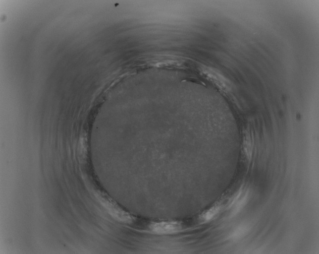 X0000062830461200601201617