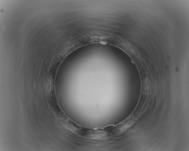 X0000062830463200601201617