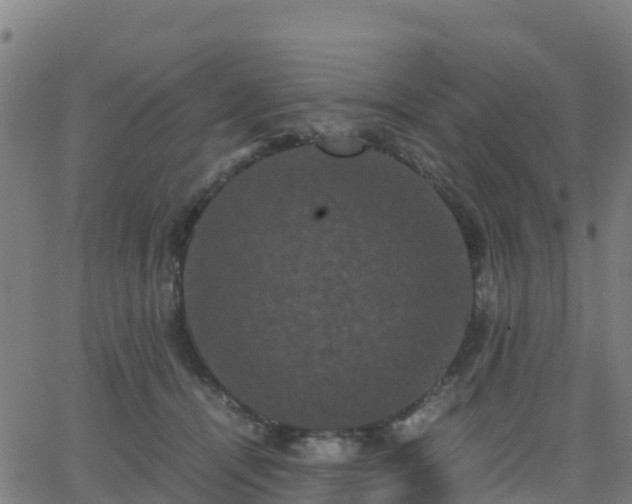 X0000062830464200601201617