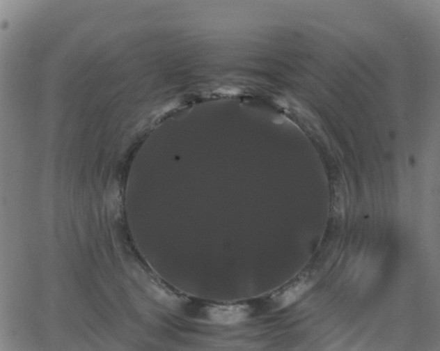 X0000062830465200601201617