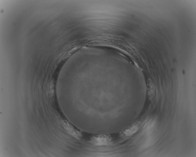 X0000062830466200601201617