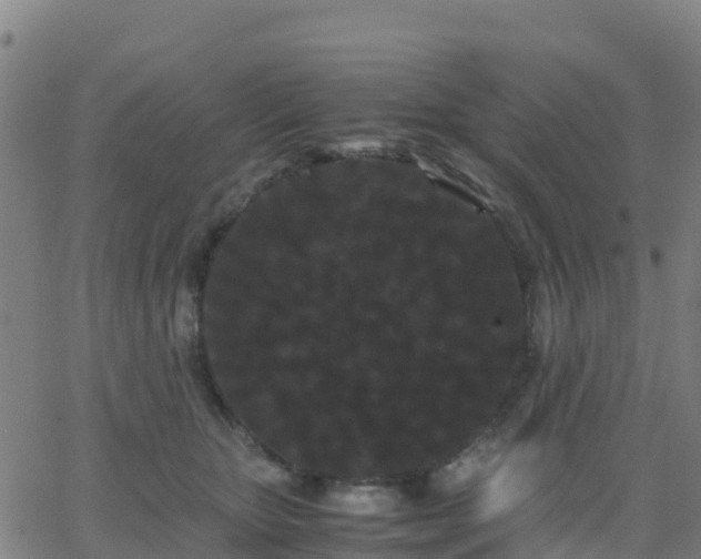 X0000062830467200601201617