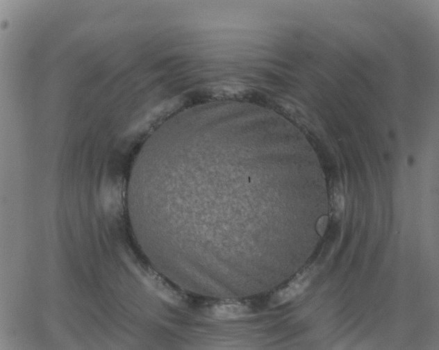 X0000062830468200601201617