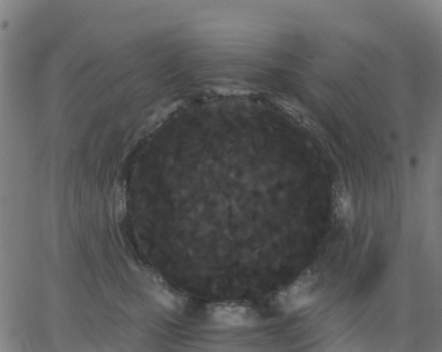 X0000062830471200601201617