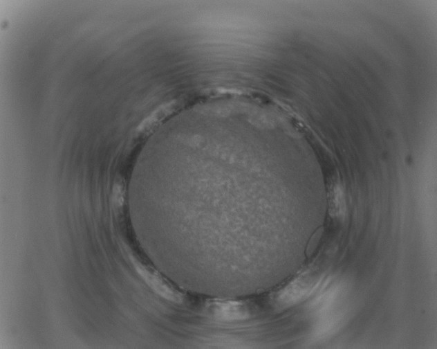 X0000062830472200601201617