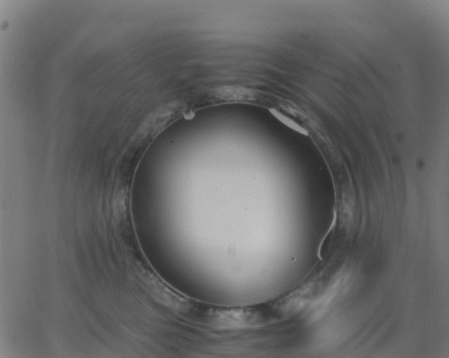 X0000062830473200601201617