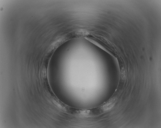 X0000062830474200601201617