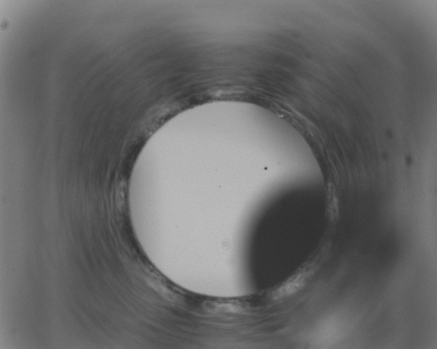 X0000062830475200601201617