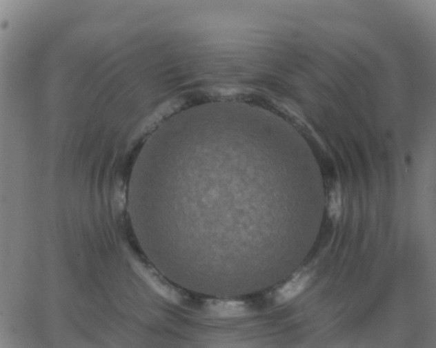 X0000062830476200601201617