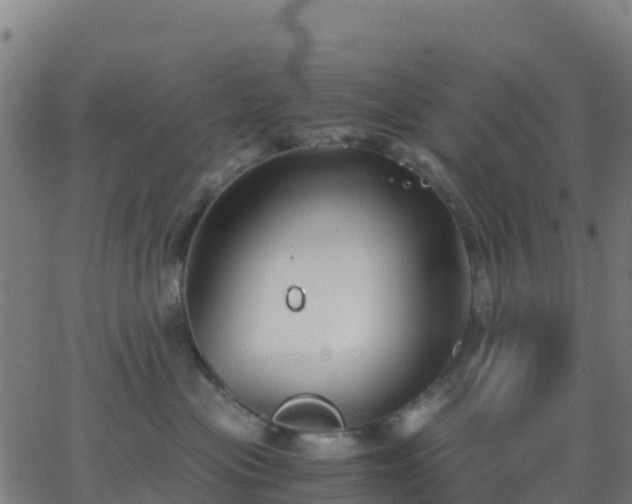 X0000062830477200601201617