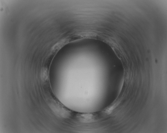 X0000062830478200601201617