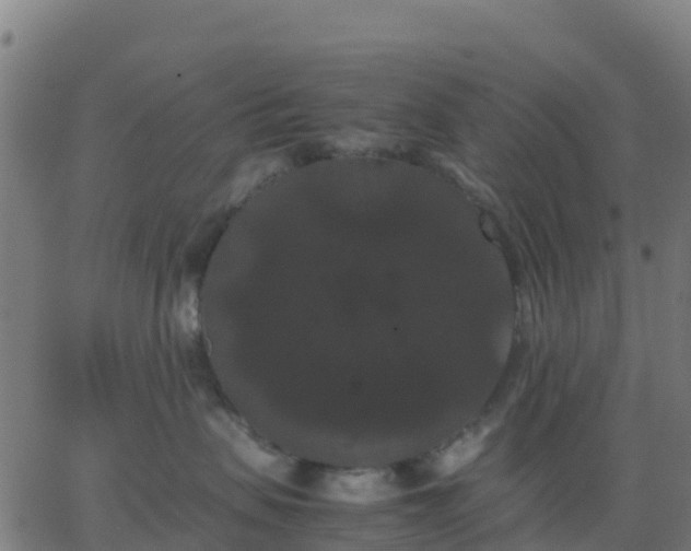 X0000062830479200601201617