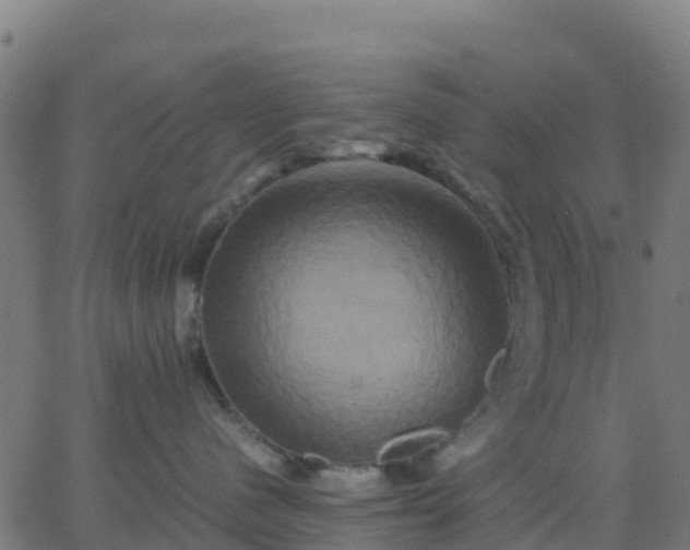 X0000062830480200601201617