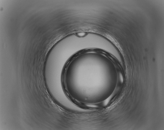 X0000062830481200601201616