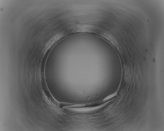 X0000062830482200601201616