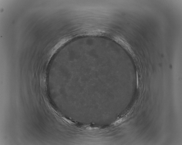 X0000062830483200601201616