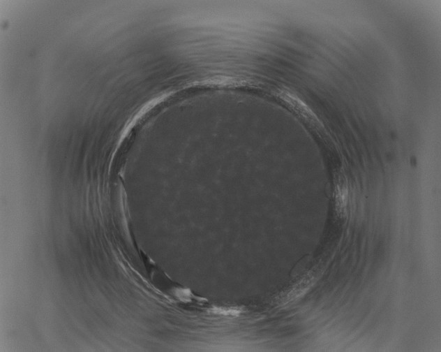 X0000062830484200601201616